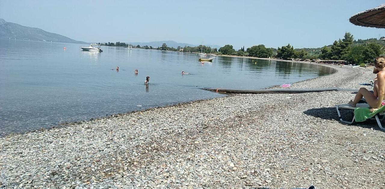 Mare E Monti1 Apartman Kaména Vúrla Kültér fotó
