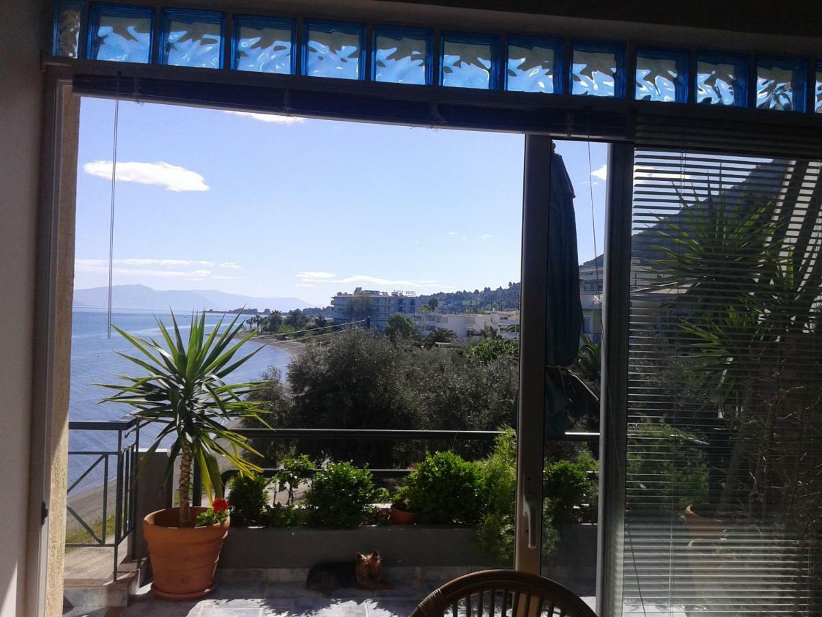 Mare E Monti1 Apartman Kaména Vúrla Kültér fotó